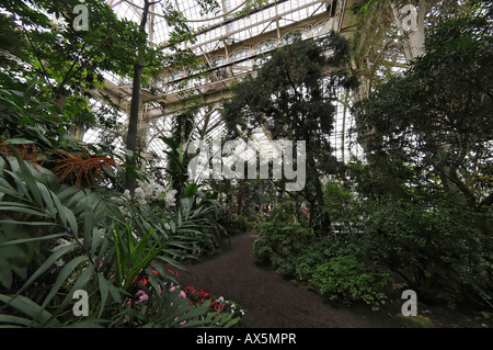 Palm greenhouse, Schoenbrunn Palace, Vienna, Austria, Europe Stock Photo