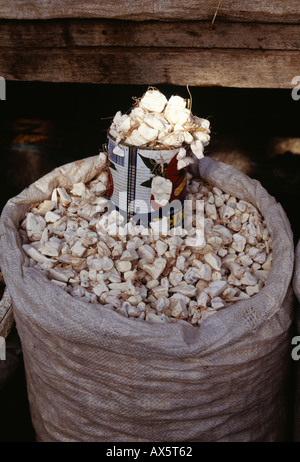 The Gambia. Market place; sack full of baobab fruit (Adansonia digitata) used for cream of tartar and ice cream. Stock Photo