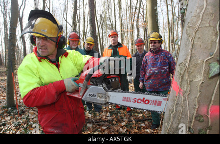 Chainsaw course, participants practicing in a forest