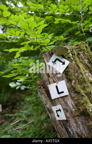 Directional markers along a trail pointing to opposite directions Stock Photo