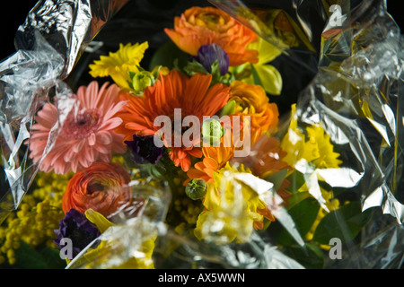 Bouquet of flowers wrapped in cellophane Stock Photo