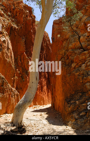 Canyon entrance, Standley Chasm, West Macdonnell Ranges, Northern Territory, Australia Stock Photo