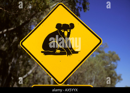 Koala crossing sign, Queensland, Australia Stock Photo