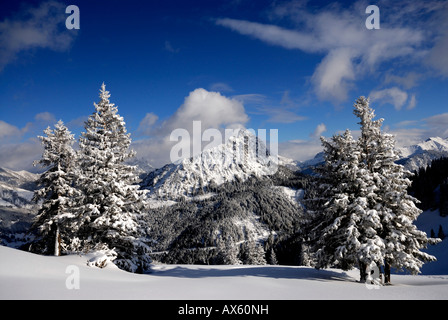 Snow covered trees with mountains in the background, winter landscape in Pfronten, Bavaria, Germany, Europe Stock Photo