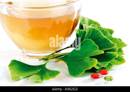 Ginko tea in cup with leaves and tablets Stock Photo