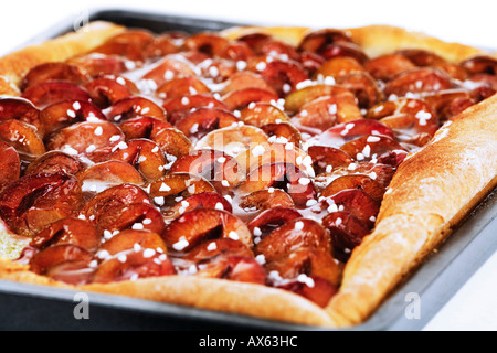 Plum cake on baking tray Stock Photo