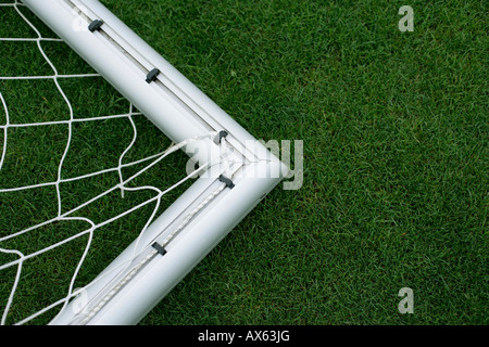 Goal lying on grass Stock Photo