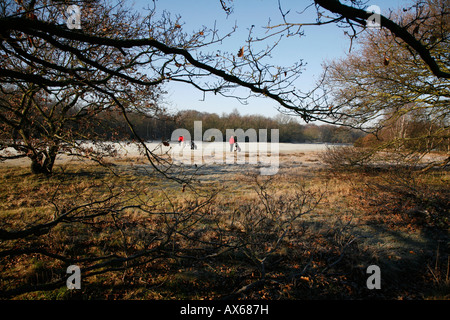 Playing golf on a frosty Wimbledon Common, Wimbledon, London Stock Photo