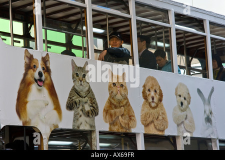 Pet Dog and Cat Advertisement on the side of a Tram in Central Hong Kong Stock Photo