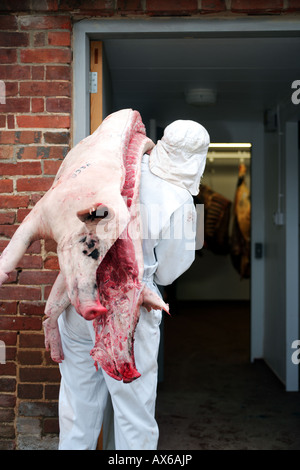 Abattoir staff member delivers butchered whole organic pig to freezer room Stock Photo