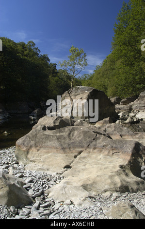 Virtually dry river Elan that runs between reservoirs  in the Elan Valley Mid Wales UK Stock Photo