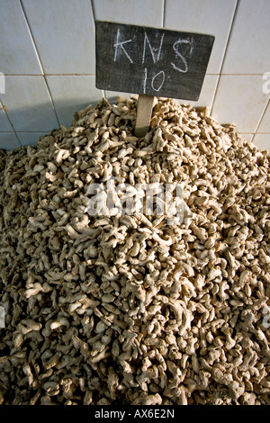 Dry Ginger Root for Sale in Jew Town in Mattancherry Cochin India Stock Photo