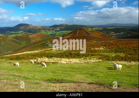 England, Shropshire, The Long Mynd.  View from the Long Mynd looking across the plateau. Stock Photo
