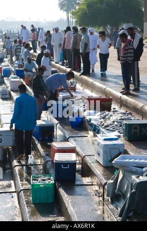 People at fish market Doha Qatar Stock Photo