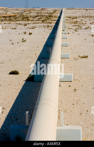 Pipeline passing through field, Qatar Stock Photo