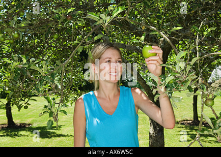Woman picking an apple Stock Photo