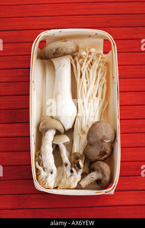 Mixed mushrooms in bowl, elevated view Stock Photo