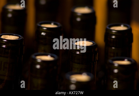 Detail of wine bottles neck Selective focus Winery serie Stock Photo