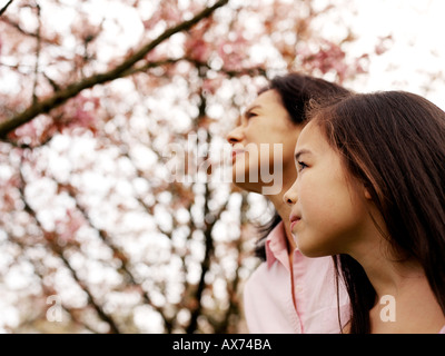mother and daughter looking up at cherry blossom tree Stock Photo