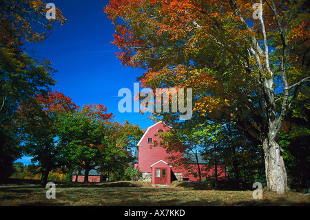 Scheune, Franklin, Hancock, Maine USA Stock Photo