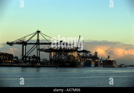 Trinity Quay at the Port of Felixstowe in Suffolk, Britain's largest container port. Stock Photo
