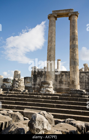 Marble columns view of the ancient Greek Doric style Temple of Poseidon ...