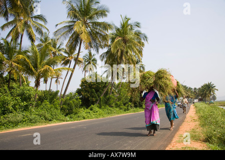 Women walking along the road carrying crops on their heads, Tamil Nadu, India Stock Photo