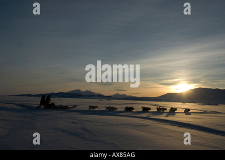 Dog sled team 5 Jens Jepsen 30 and Soren Christiansen Danish Special Forces Sirius Dog Patrol Mestersvig North East Greenland Stock Photo