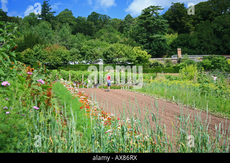 The Walled Garden Knightshayes Court National Trust nr Tiverton Devon England UK Stock Photo