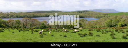 Co Fermanagh Lower Lough Erne and White Island from Aghinver Stock Photo