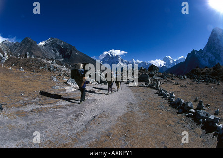 Trekking, Lobuche, Ama Dablam, Everest Region Nepal Stock Photo