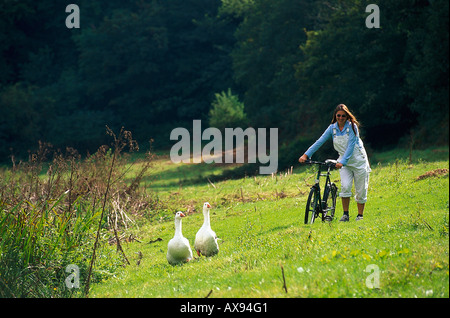 Woman pushing a mountain bike over a field, Two geese, St. Peters Valley, Jersey, Channel Islands, Great Britain Stock Photo