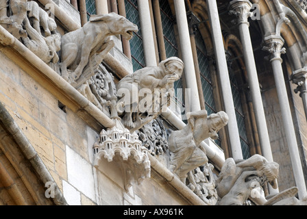 Gargoyles on the Cathedral in Dijon Burgundy France Stock Photo