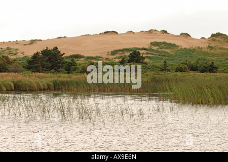 parabolic sand dune greenwich pei prince edward island canada Stock Photo