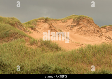 parabolic sand dune at Greenwich Prince Edward Island Canada Stock Photo