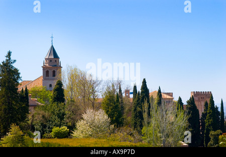 Alhambra Palace, Calle Real de la Alhambra, s/n, 18009 Granada, Spain: PHILLIP ROBERTS Stock Photo