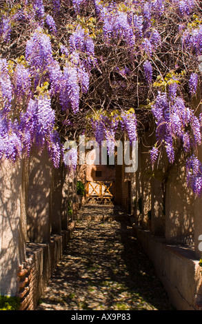 Alhambra Palace, Calle Real de la Alhambra, s/n, 18009 Granada, Spain: PHILLIP ROBERTS Stock Photo