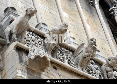 Gargoyles on the Cathedral in Dijon Burgundy France Stock Photo