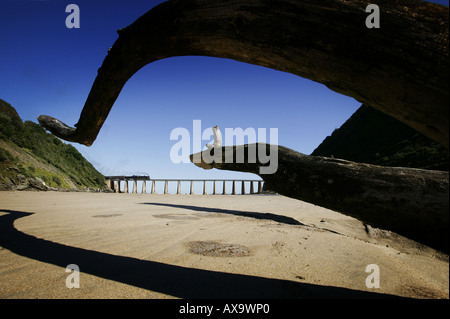 Historic train passes over Kaaimans River mouth, near Wilderness, Garden Route, Western Cape, South Africa Stock Photo