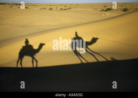 A shadow from two camels with passengers being cast on a desert sand dune. Stock Photo