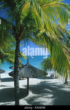 Palmen u. Sonnenschirme am Strand, Hotel Royal Palm, Grand Baie Mauritius, Indischer Ozean, Afrika Stock Photo