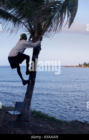 Folly Point & Lighthouse Port Antonio Jamaica Stock Photo