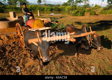 Young man fills oil drum water cart Burma Myanmar Stock Photo