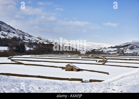 Barns and walls at Gunnerside, Swaledale. Stock Photo