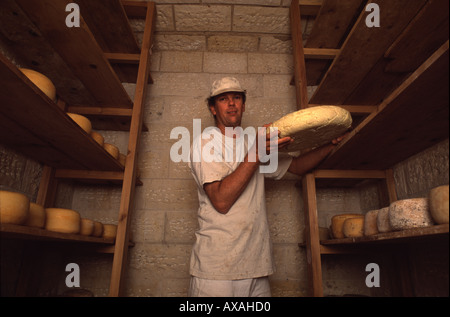 An Israeli farmer holds a  wheel of cheese maturing in a basement in Israel Stock Photo