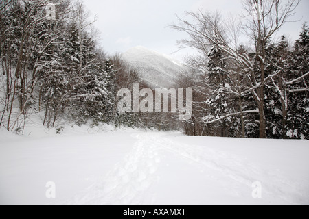 Appalachian Trail WIlley House Station Road Trail during the winter months Located in the White Mountains New Hampshire USA Stock Photo