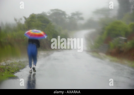 SSK73926 Monsoon Person walking down the road in heavy rains at Mulshi Lake Pune Maharashtra India Stock Photo