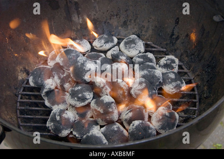 Barbecue portatile con fiamme all'aperto. Spazio per il testo Foto stock -  Alamy