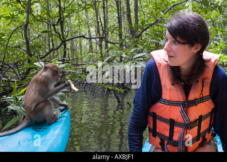 Female backpacker and Monkey Stock Photo