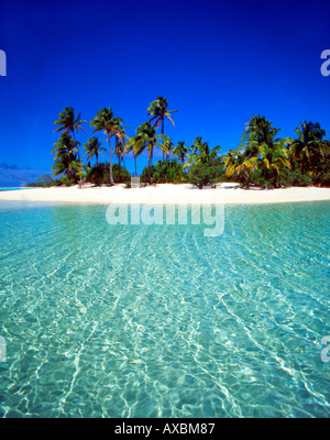 South pacific Cook Islands Aitutaki lagoon One foot Island dream beach cristal clear water Stock Photo